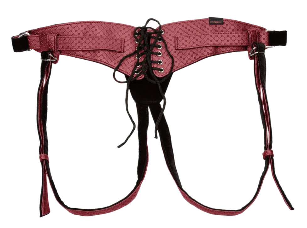 Her Royal Harness – The Regal Queen